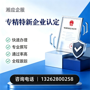 遵义专精特新企业申报服务