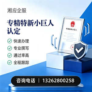 遵义专精特新小巨人申报服务