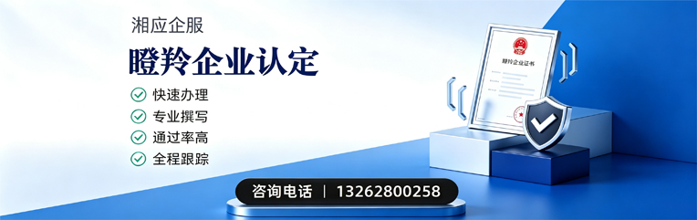 遵义瞪羚企业认定申报服务