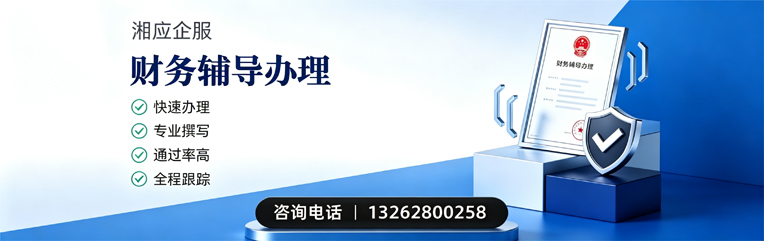 遵义财务辅导申请服务