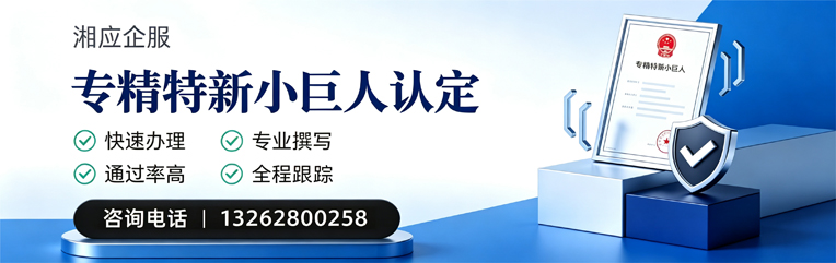 遵义专精特新小巨人申报服务